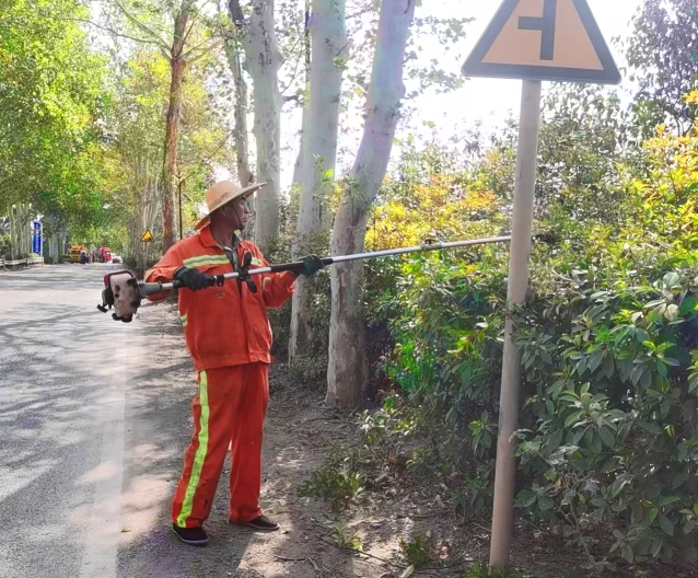 道路绿化安全提升“剪出道路安全感”