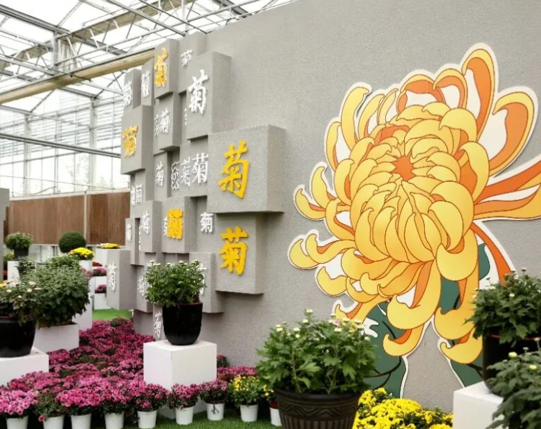 通达志愿者护航全椒菊博园志愿服务温暖启程