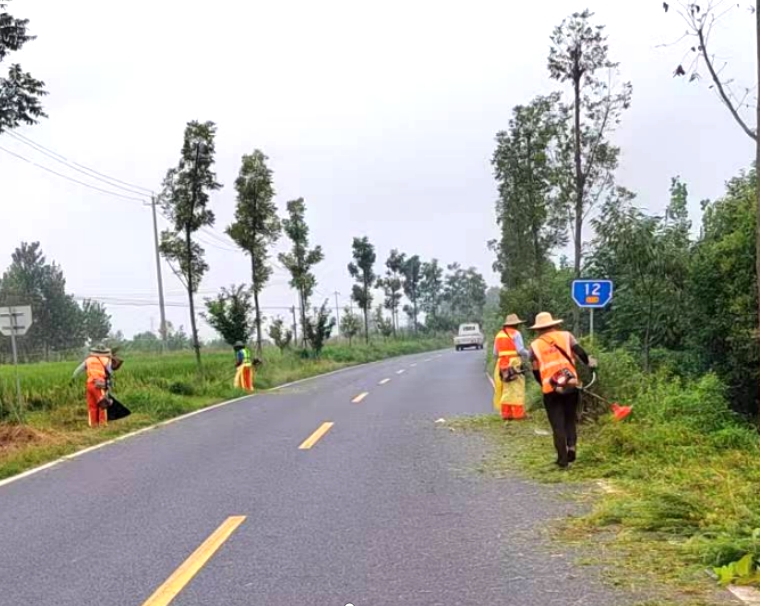 畅通群众出行路 公路养护除草忙